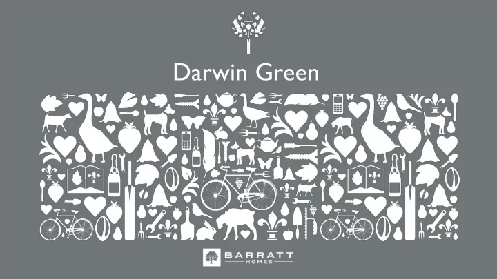 darwin green darwin green introducing the team
