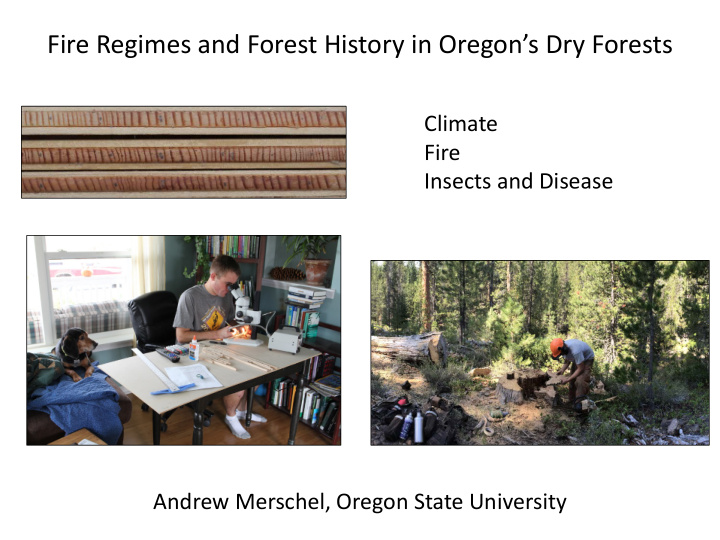 fire regimes and forest history in oregon s dry forests