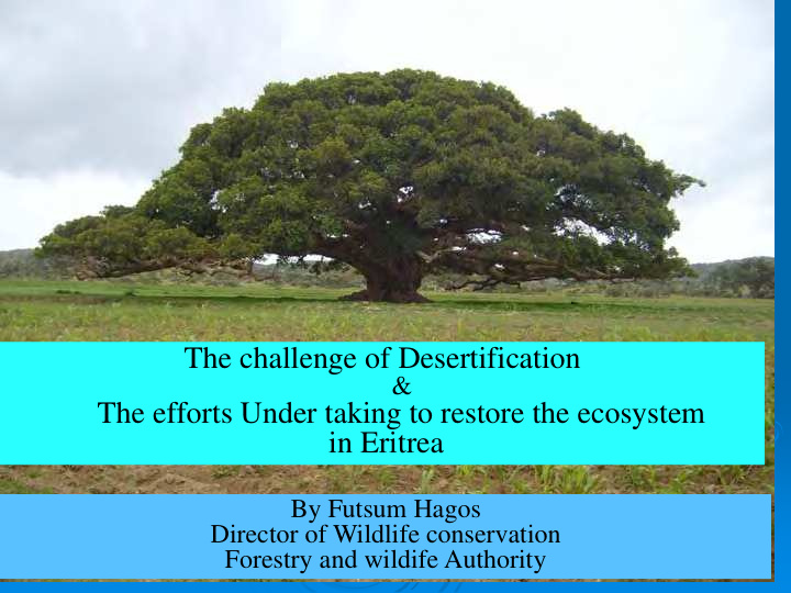 the challenge of desertification