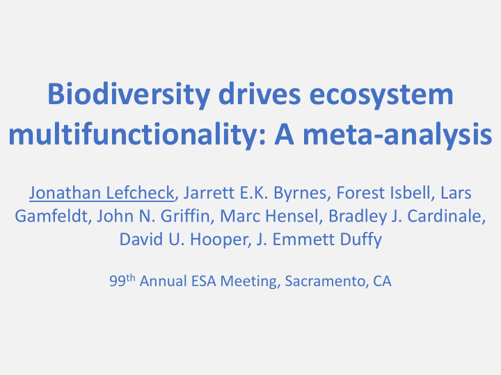 multifunctionality a meta analysis