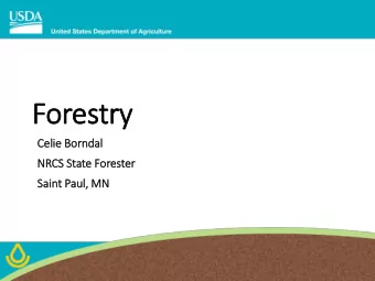 For  orestr  try  y  Celie B  e Borndal  NRCS S  Sta  tate F  Fores  este  ter  Sain  aint P  Pau