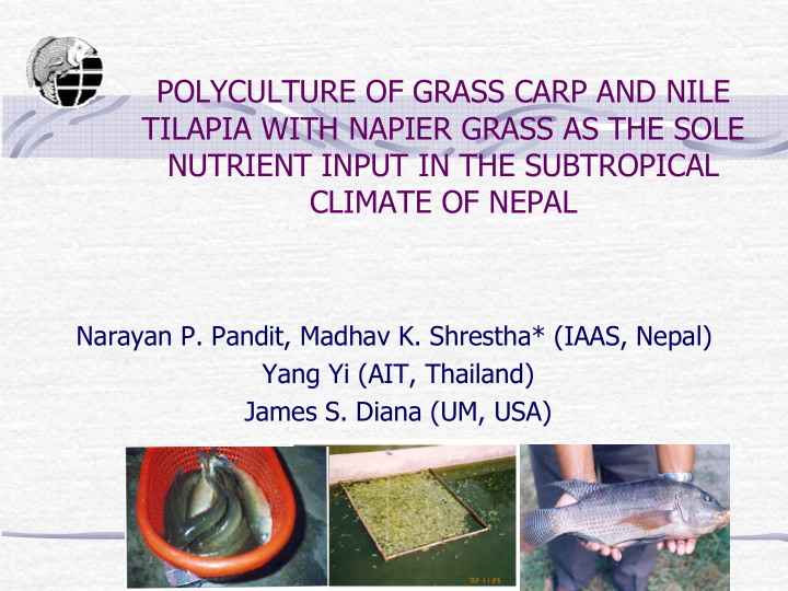 polyculture of grass carp and nile tilapia with napier