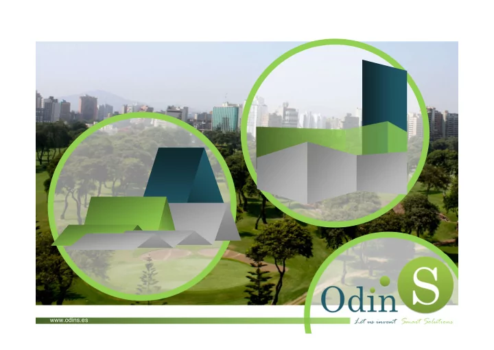 odins es odin solutions