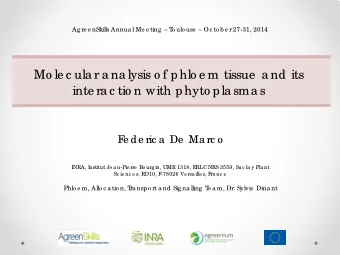 Mo le c ula r a na lysis o f phlo e m tissue  a nd its  inte ra c tio n with phyto pla sma s  F  e