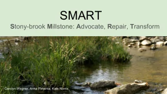 SMART S tony-brook M illstone: A dvocate, R epair, T ransform  Carolyn Wagner, Anna Pimenta, Kate