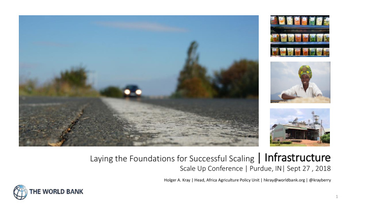 laying the foundations for successful scaling in