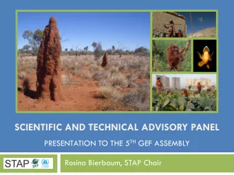 SCIENTIFIC AND TECHNICAL ADVISORY PANEL PRESENTATION TO THE 5 TH GEF ASSEMBLY  Rosina Bierbaum,