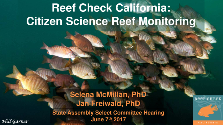 reef check california citizen science reef monitoring