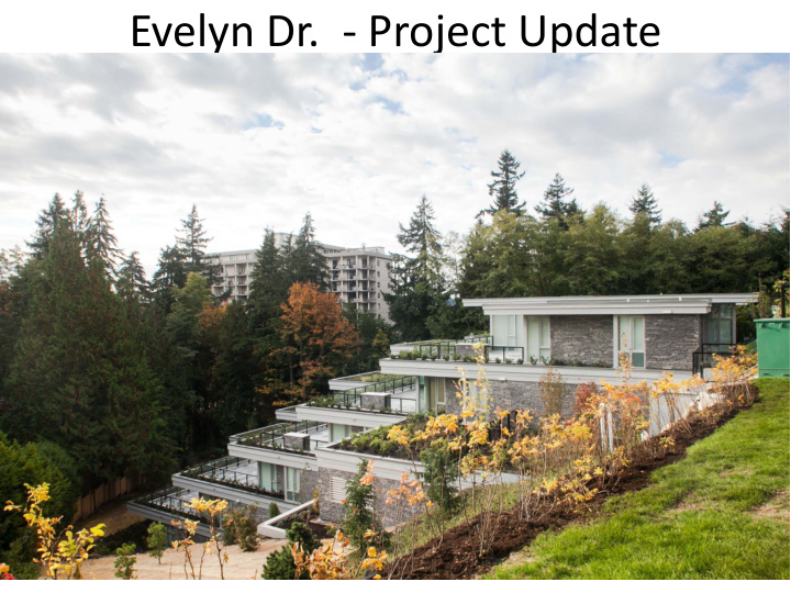 evelyn dr project update
