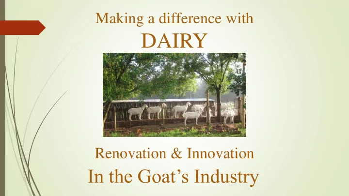 dairy
