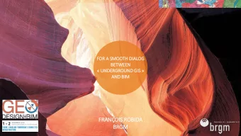 FRANOIS ROBIDA  FR  BRGM BRGM THE FRENCH GEOLOGICAL SURVEY WWW.BRGM.EU  Why is subsurface