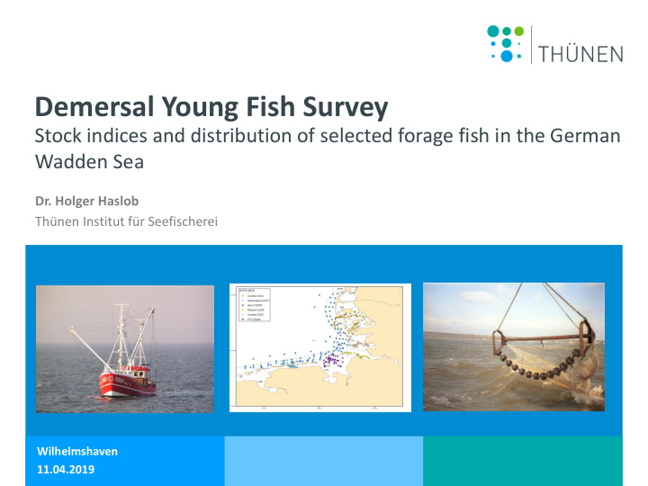 demersal young fish survey