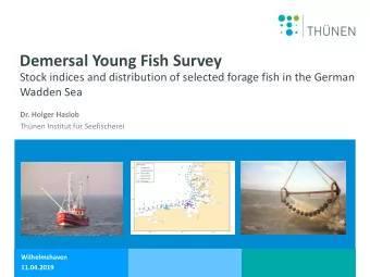 Demersal Young Fish Survey  Stock indices and distribution of selected forage fish in the German