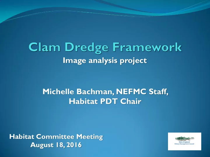 image analysis project michelle bachman nefmc staff