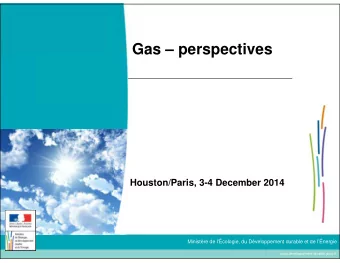 Gas  perspectives  Houston/Paris, 3-4 December 2014  Ministre de l'cologie, du