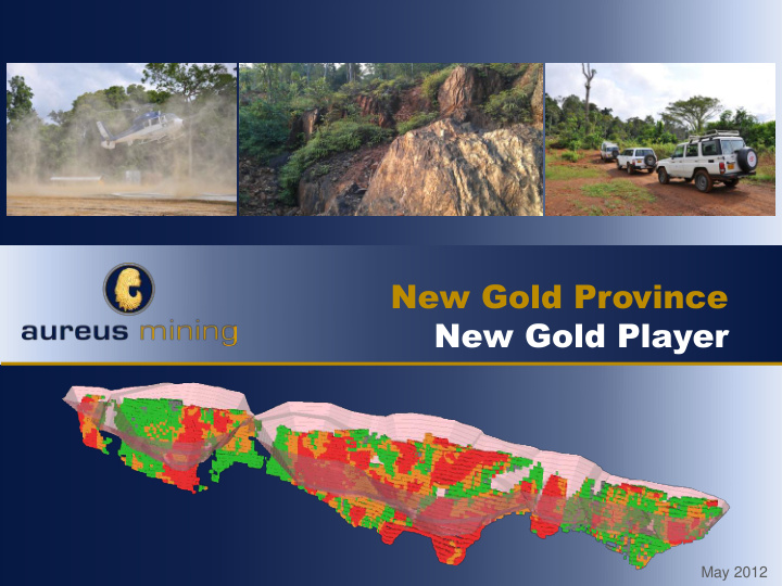 new gold province new gold player