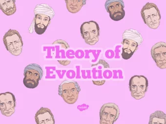 Aim  I can identify the key ideas of the theory of evolution.  Success Criteria  I can