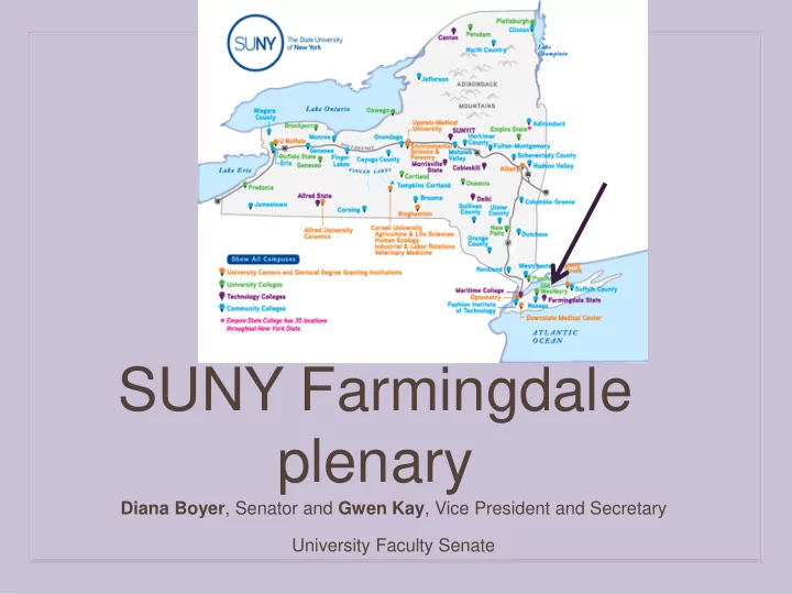 plenary