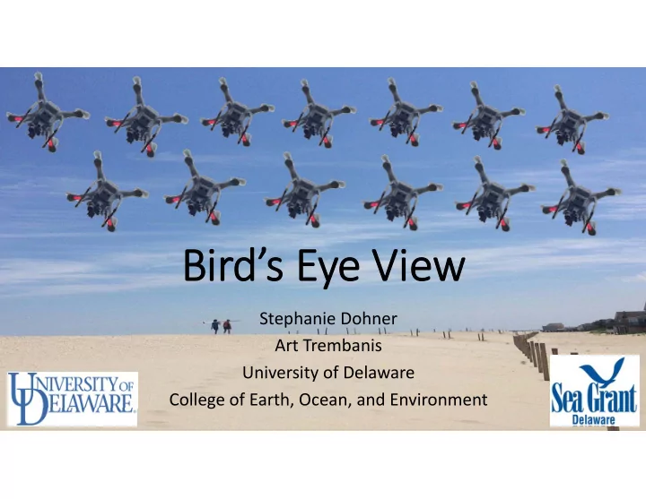 bird s eye view