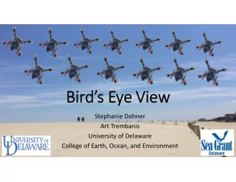 Birds Eye View  Stephanie Dohner  Art Trembanis  University of Delaware  College of Earth,