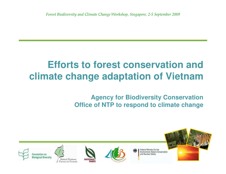 efforts to forest conservation and climate change