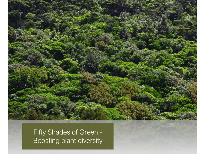 fifty shades of green boosting plant diversity know your