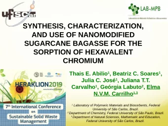 SYNTHESIS, CHARACTERIZATION,  AND USE OF NANOMODIFIED  SUGARCANE BAGASSE FOR THE  SORPTION OF