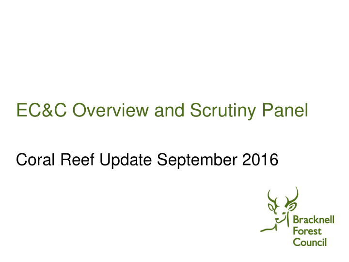 ec c overview and scrutiny panel
