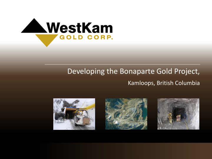 developing the bonaparte gold project