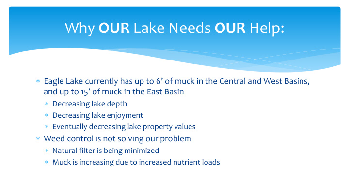 why our lake needs our help