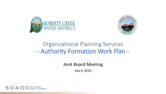 - Author  ority  ity F  Formati  tion  on W  Work P  Plan -  Joint Board Meeting  July 9, 2020