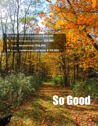 So Good  Wishing Well Club  Insiders guide  You Could Be Here  220 ACRE WOODED RETREAT NESTLED