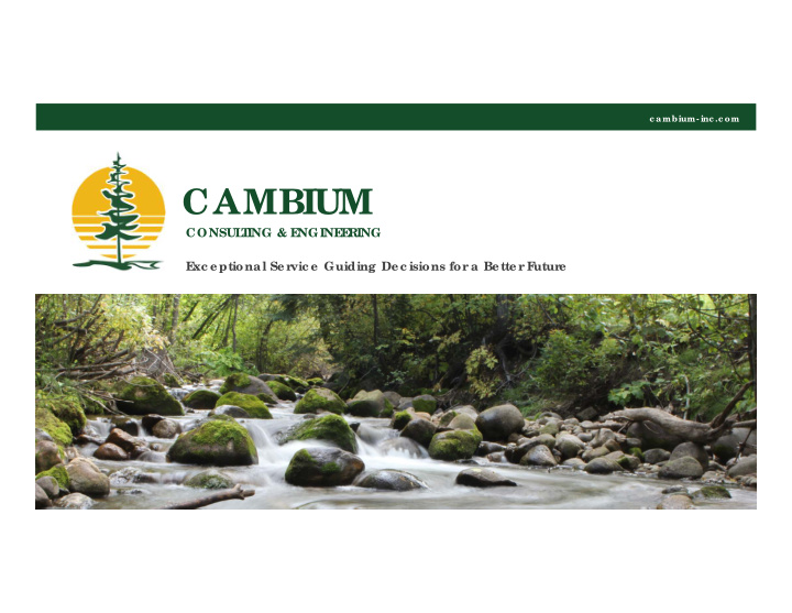 cambium