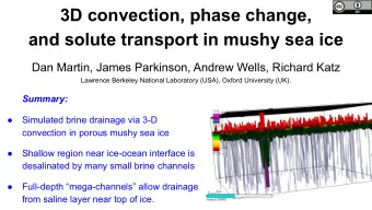 3D convection, phase change,  and solute transport in mushy sea ice  Dan Martin, James Parkinson,