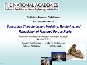 Subsurface Characterization, Modeling, Monitoring, and  Remediation of Fractured Porous Rocks