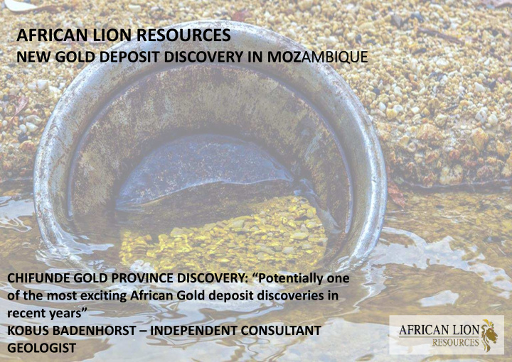 african lion resources