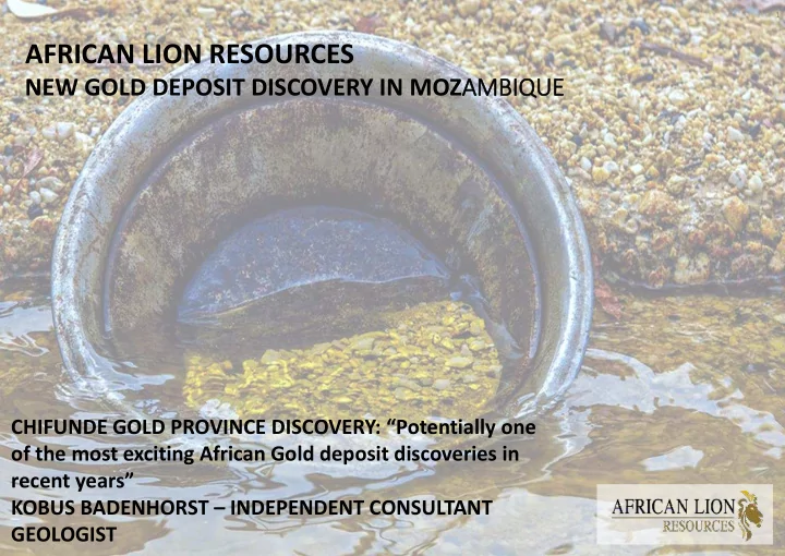 african lion resources