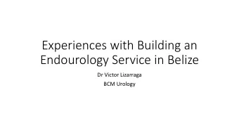Experiences with Building an  Endourology Service in Belize  Dr Victor Lizarraga  BCM Urology  BCM