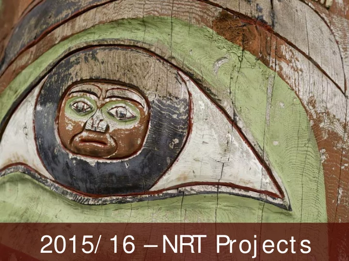 2015 16 nrt proj ects community navigator