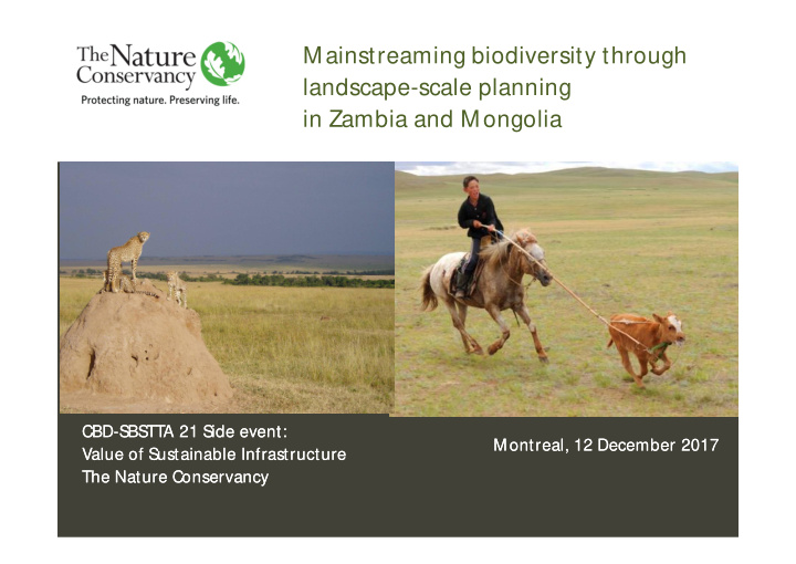 mainstreaming biodiversity through landscape scale