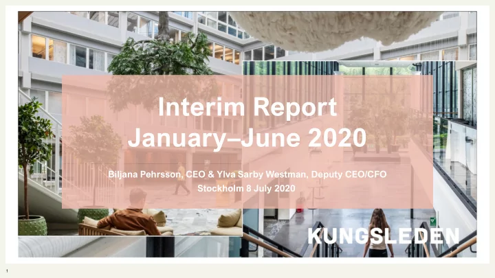 interim report