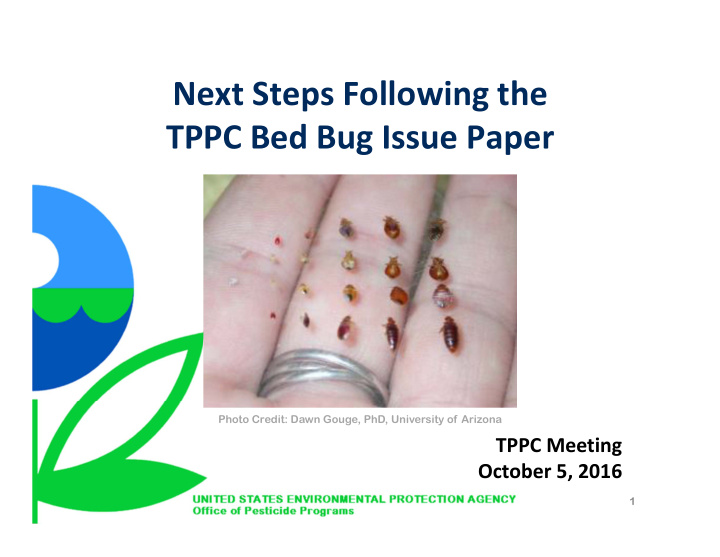 next steps following the tppc bed bug issue paper