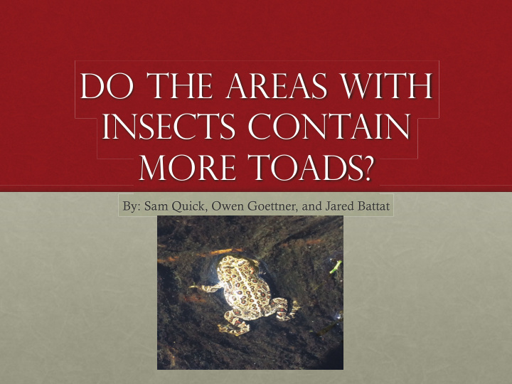 do the areas with insects contain more toads