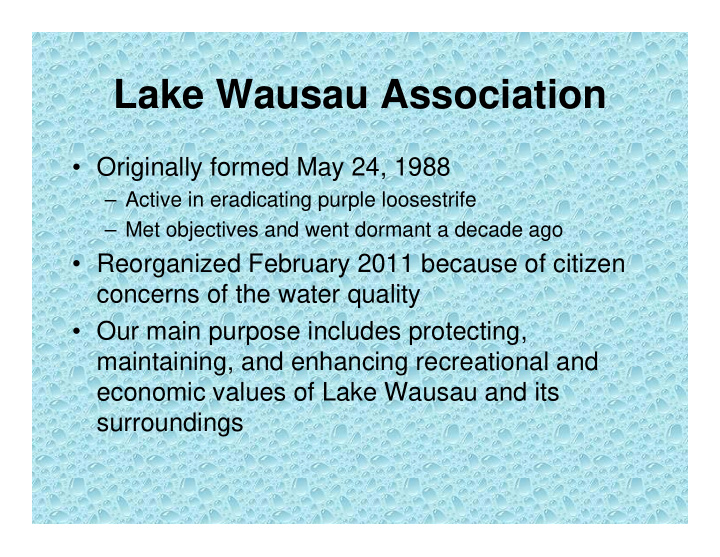 lake wausau association