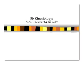 5b Kinesiology: AOIs - Posterior Upper Body  5b Kinesiology: AOIs - Posterior Upper Body