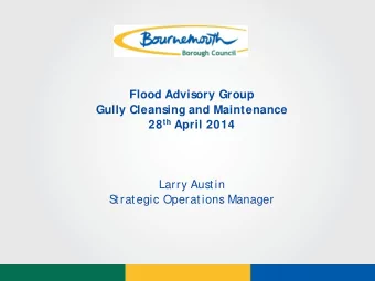 Flood Advisory Group  Gully Cleansing and Maintenance 28 th April 2014  Larry Austin  S  trategic