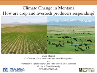 Climate Change in Montana  How are crop and livestock producers responding?  Rick Engel  Cynthia