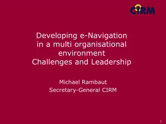 Developing e-Navigation  in a multi organisational  environment  Challenges and Leadership  Michael