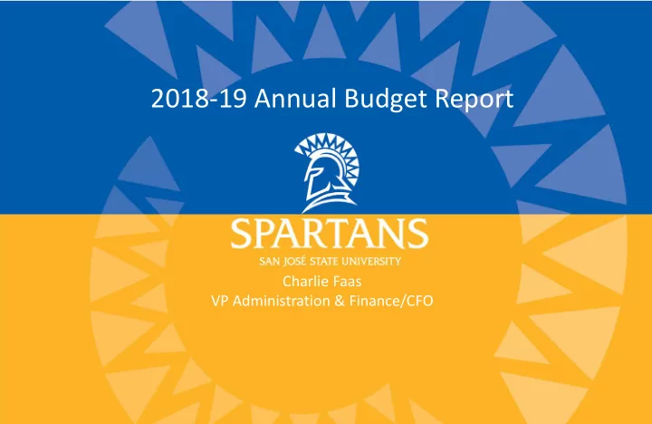 2018 19 annual budget report