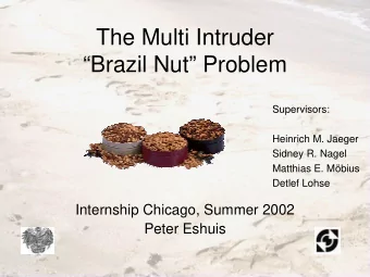 The Multi Intruder  Brazil Nut Problem  Supervisors:  Heinrich M. Jaeger  Sidney R. Nagel
